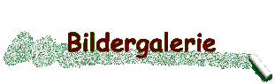 Bildergalerie