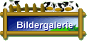 Bildergalerie